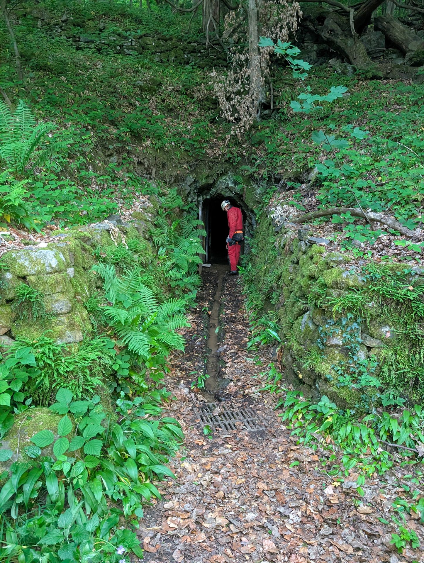 Entrée basse de la mine de Saint Pierre de Mésage